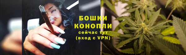 гидра Баксан