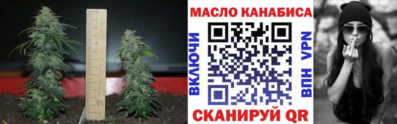 ТГК THC oil МЕГА как войти Бобров